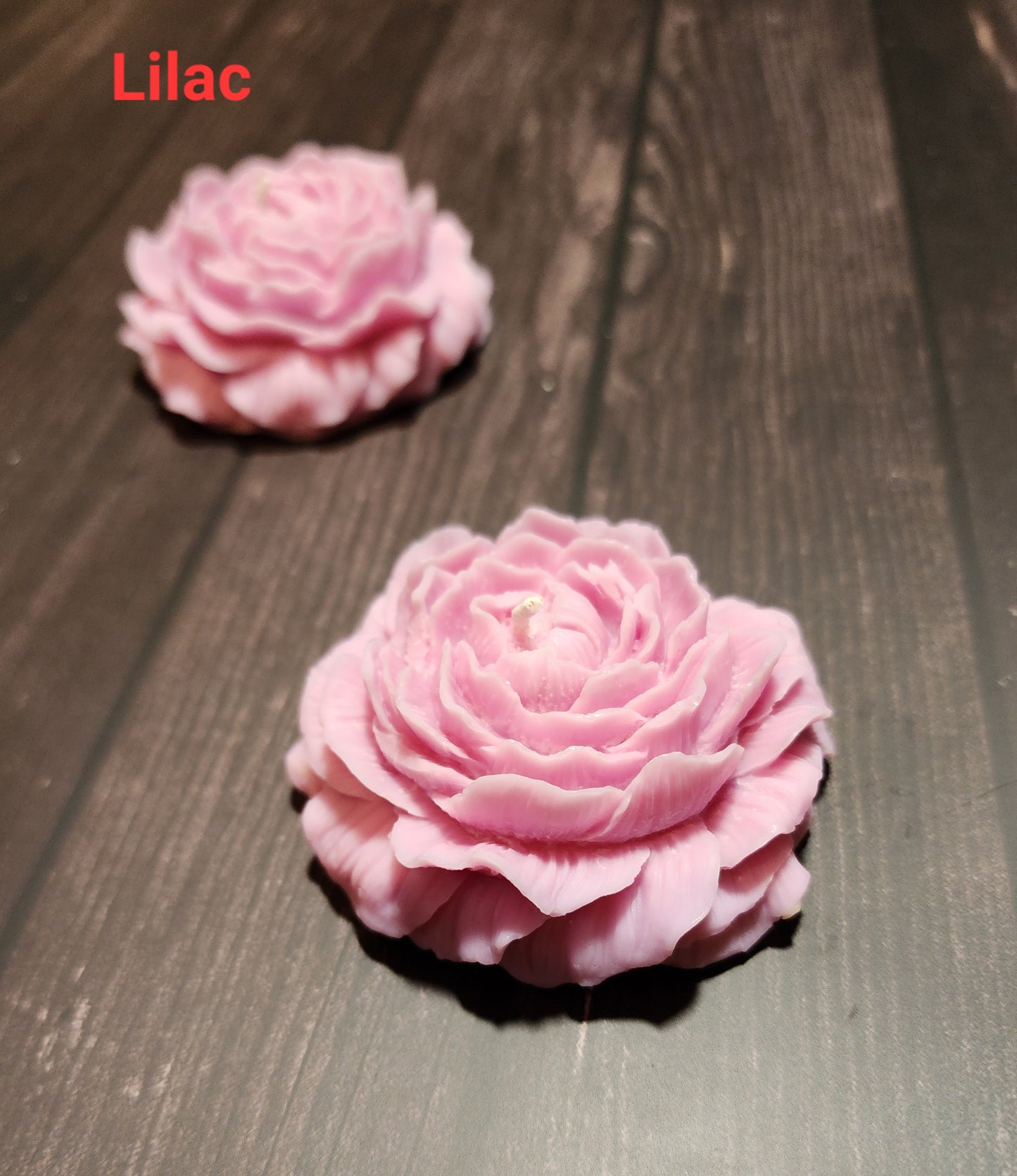 Magnolia & Peony flower